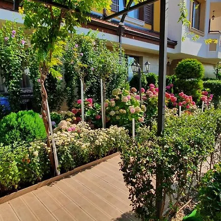 Vp Emilia Romana * Ravda